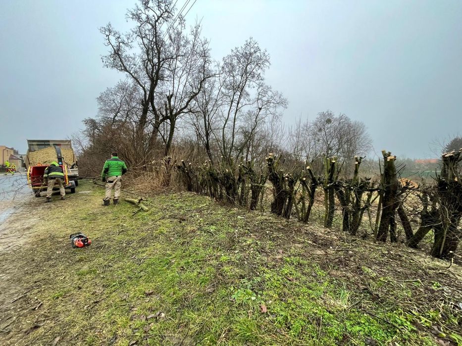 Wycinka drzew,  karczowanie działek, usługi rębakiem