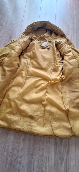 Śliczna kurteczka 38)