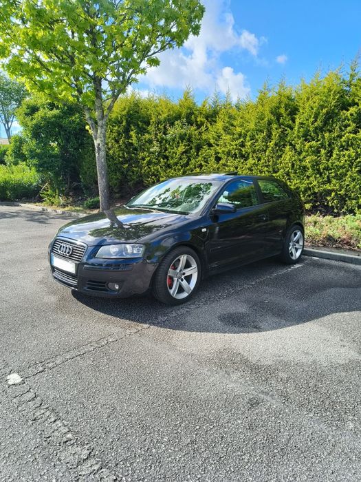Audi A3 8P 2.0 TDI