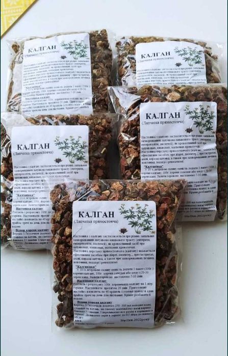Цілющий корень Калган Перстач, (Чоловіча сила) саджанці: 15 грн. - Сад ...