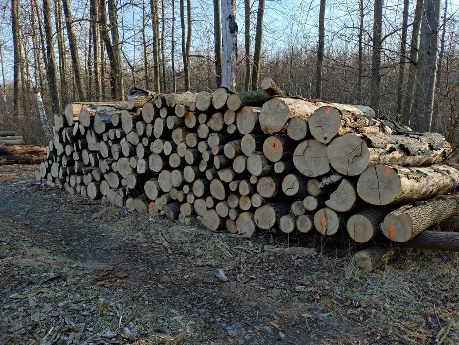 Drewno opałowe, kominkowe  niskie ceny!