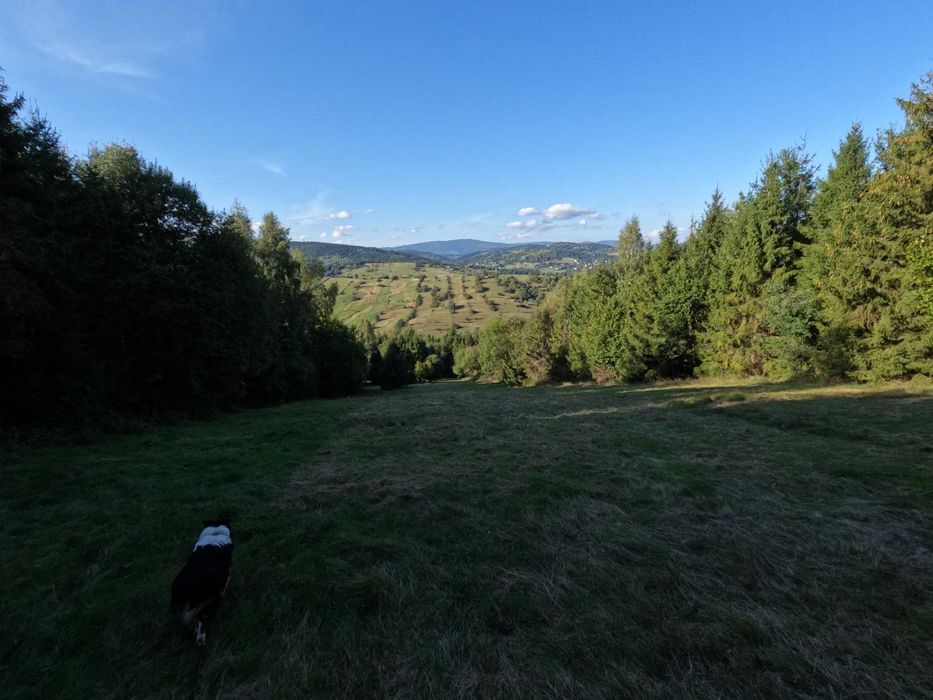 14 Działek w Soli obok Rajczy. 22 141 m². Cena tylko 20zł/m² - Widok 2