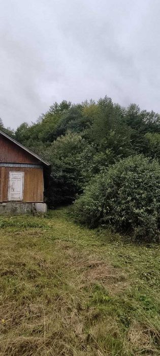 Продаж 3-х кімнатного будинку, в с. Віженка (Вижницький р-н).