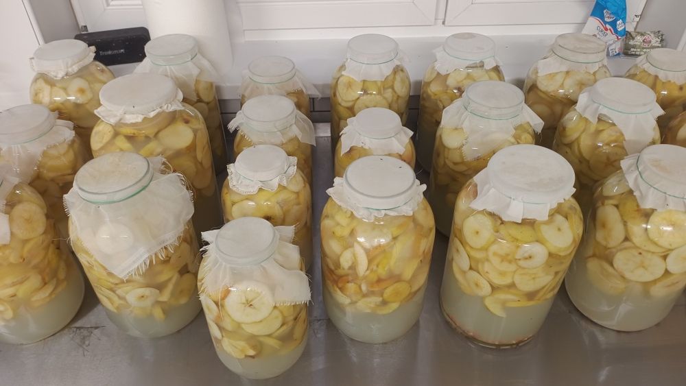 Żywy naturalny ocet jabłkowy  0,5l