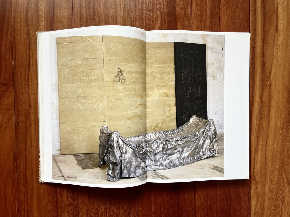 Delfim Sardo - Julião Sarmento: Risco Inerente/Inherent Risk