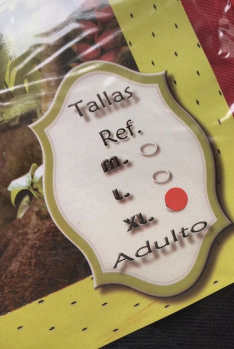 Fantasia de ratinha