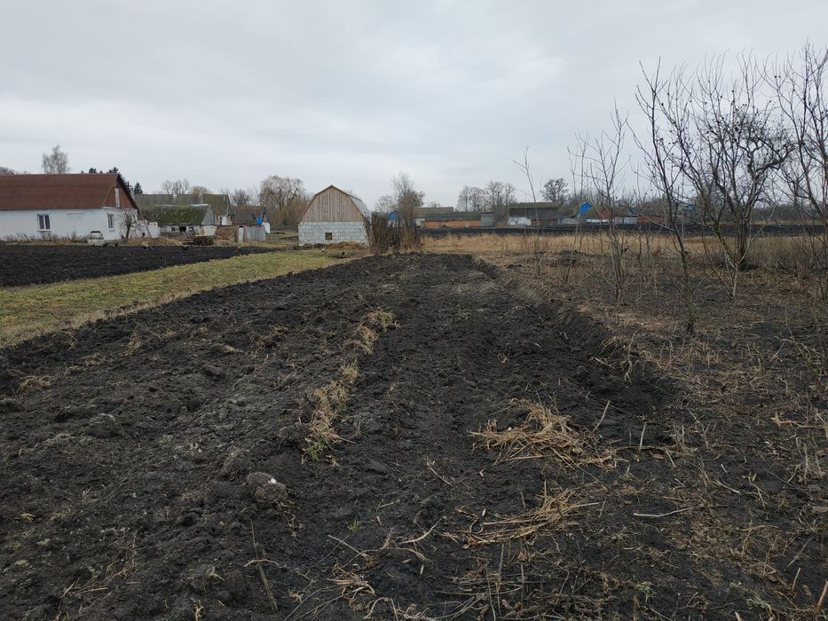 Частный дом с землей