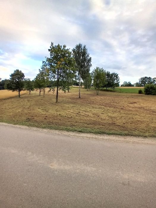 Usługi koszenia traw