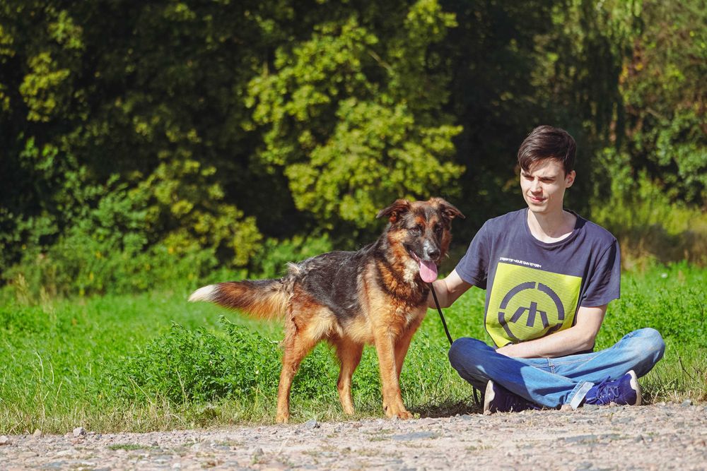 Bośnia - przepiękna sunia czeka na dom