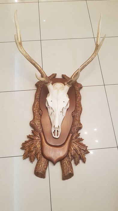 Рога оленя на медальйоні