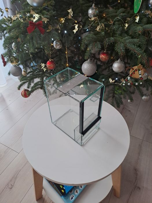 Terrarium dla pająka nadrzewnego