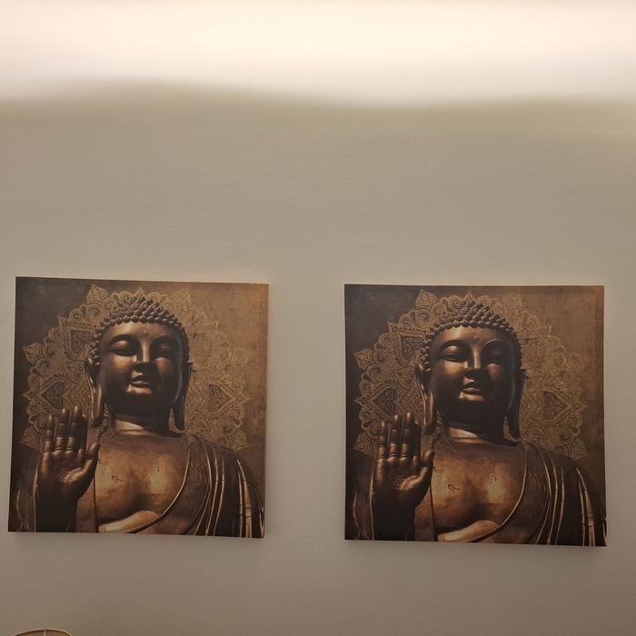 Telas impressas variadas