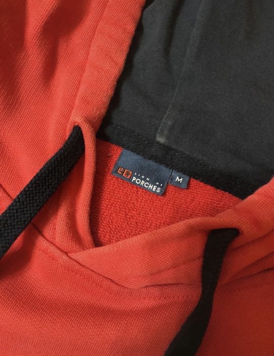 Sweat com capuz Lion of Porches