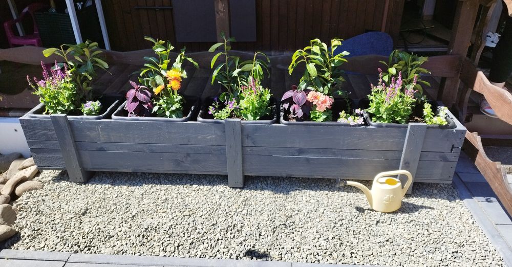 Donica / Skrzynia drewniana / Warzywniak