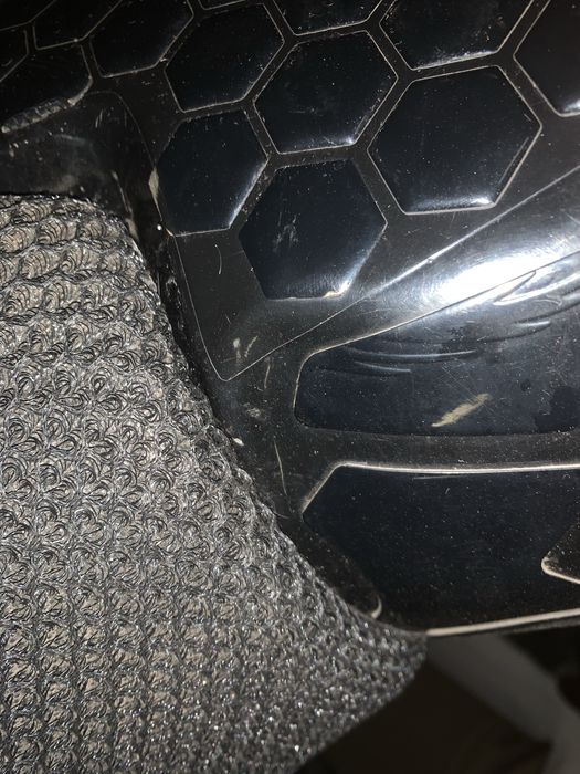 Мустанг Фортуна 200