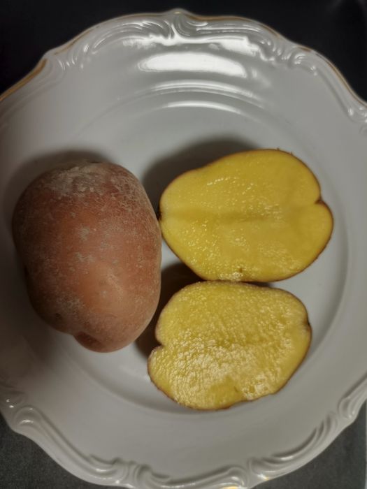 Ziemniaki jadalne Bellarosa.