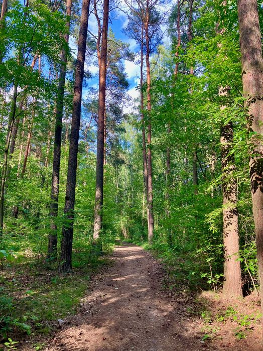 Przytulny domek dla dwóch osób nad Zalewem Sulejowskim