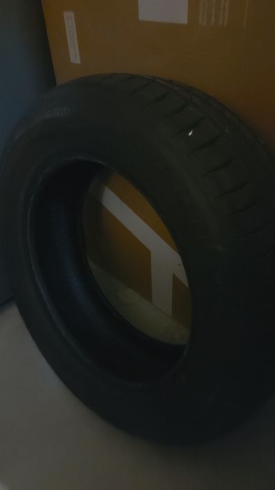 Pneu Goodyear Efficient 185/65 R15