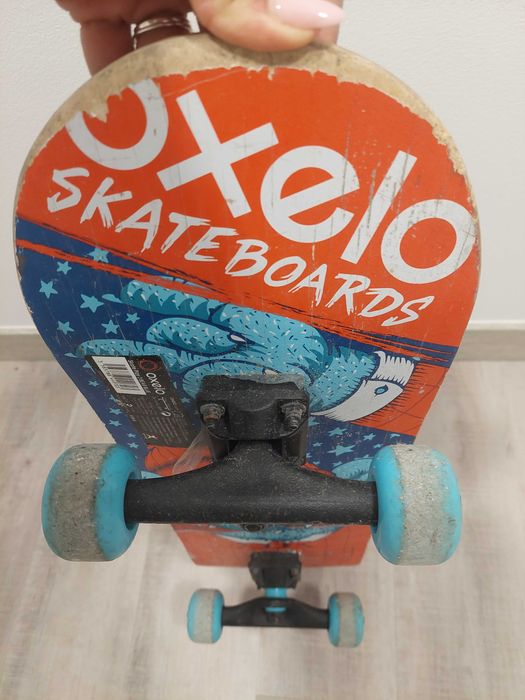 Skate oxelo blue bear