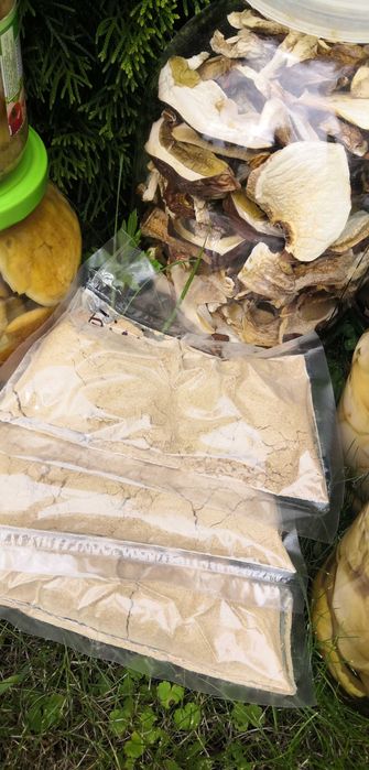 Грибова приправа