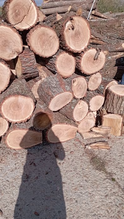 Дрова  дуб ,ясень