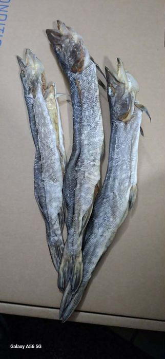 Рыба вялена,сушена  асортимент!!