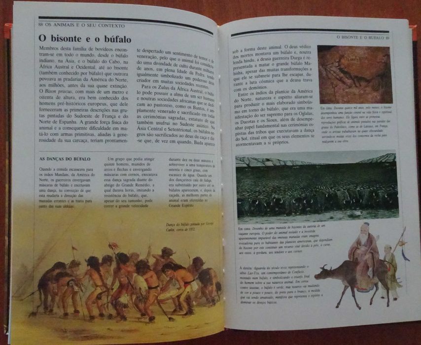 Os Espíritos Animais (Sacrifício, Ritual e Mito de Diversas Culturas e Épocas)