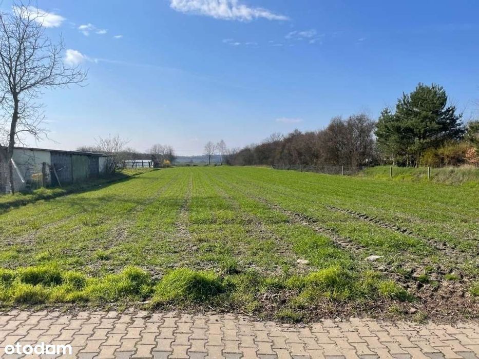 Działka bud. 3600 m² Jemiołów(Łagów Lubuski) w malowniczej okolicy.