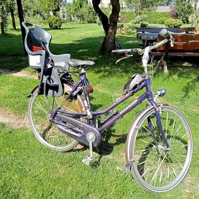 Rower gazelle używany