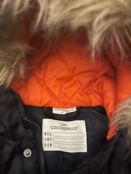 Kurtka Coccodrillo chłopiec 134