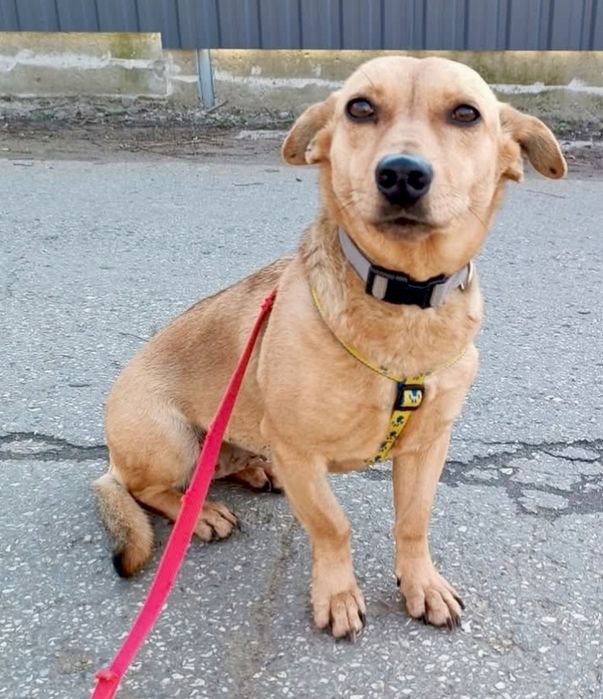 Nadusia prosi o szansę ...