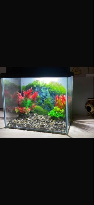 Акваріум для риб