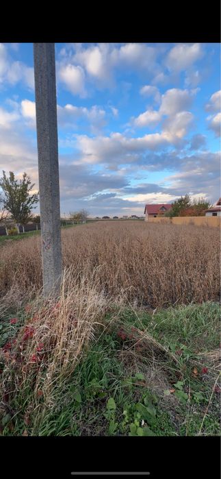 Продаж ділянки під забудову в Новоставі вул.Вишнева