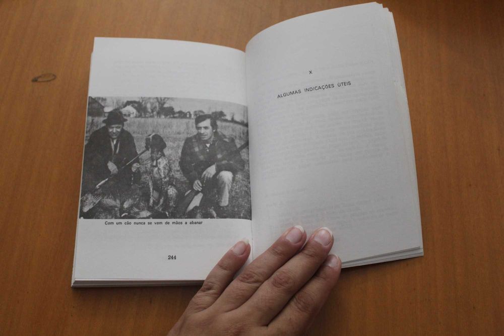 Guia do Cão - Tempos Livres