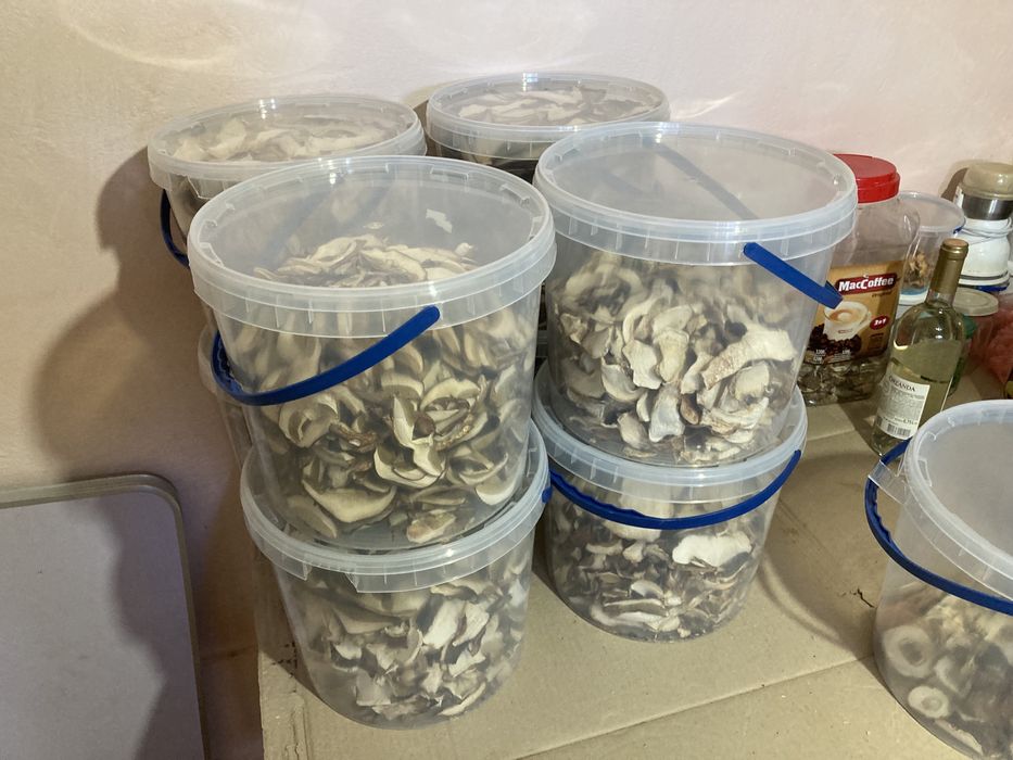 Білі сухі і мариновані грибочки ,лисичка суха маринована