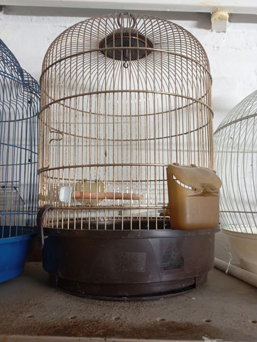 Gaiola para pássaros