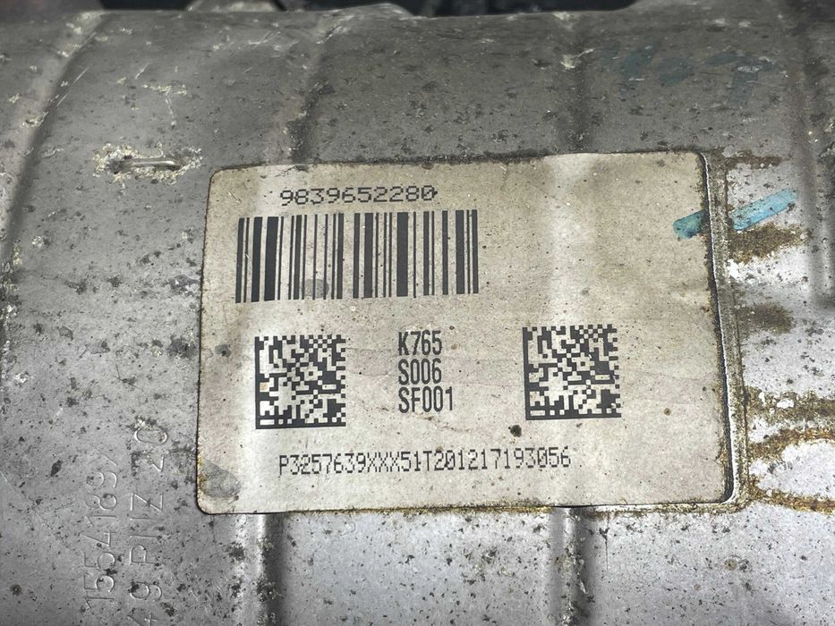 Filtro de partículas Citroen Berlingo/ Peugeot Partner 1.5HDI (2022)