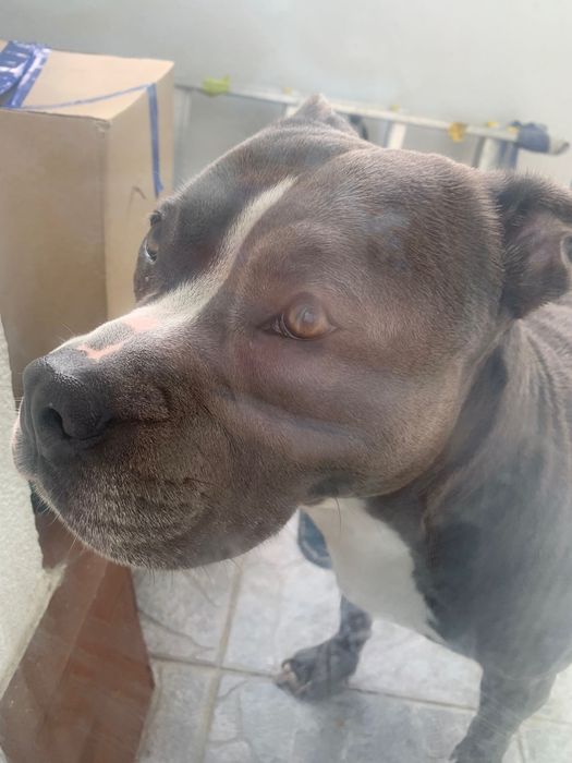 Oddam tylko w odpowiednie i dobre ręce sprawa pilna