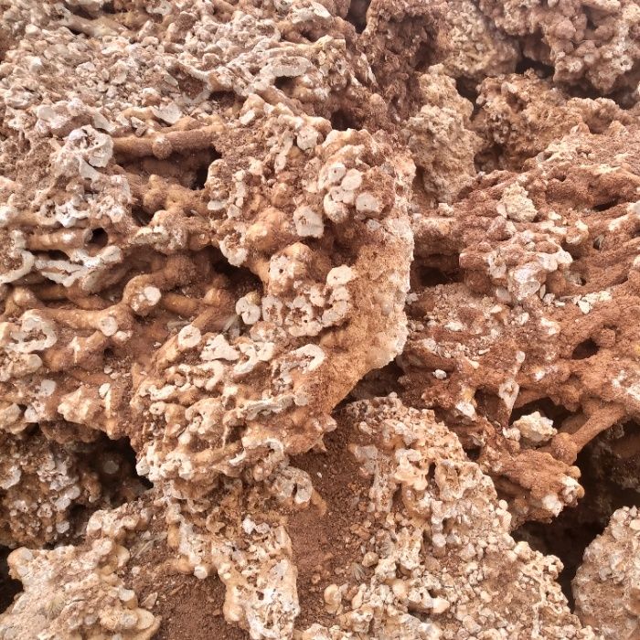 Spaghetti brązowe/ Spaghetti Green, zielone, kamień do akwarium