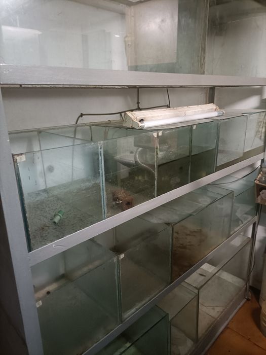 Akwaria różne rozmiary oddam za free lub %