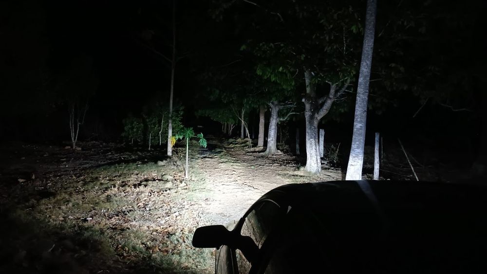 h1 h4 h7 h11 h9 h8  hb3/4 h15 d3s LED лед лампи