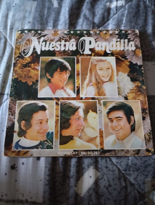 Disco nuestra pandilla