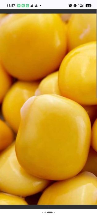 Tremoços secos ou prontos a comer