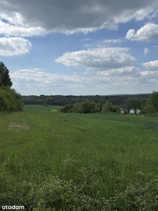 BOBOLICE | 1,146 ha | Widok na Zamek Bobolice i Mirów | Media | Asfalt