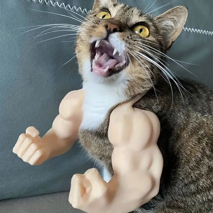 Біцепс для кота, смішний аксесуар для котиків
