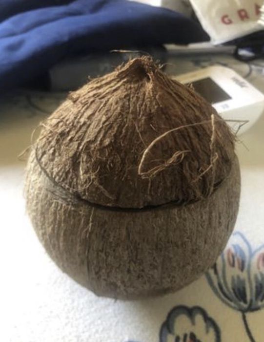 Кокос з мушлями для акваріуму