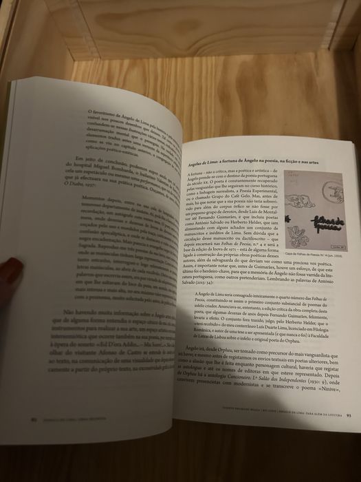Livro Ângelo de Lima obra reunida.