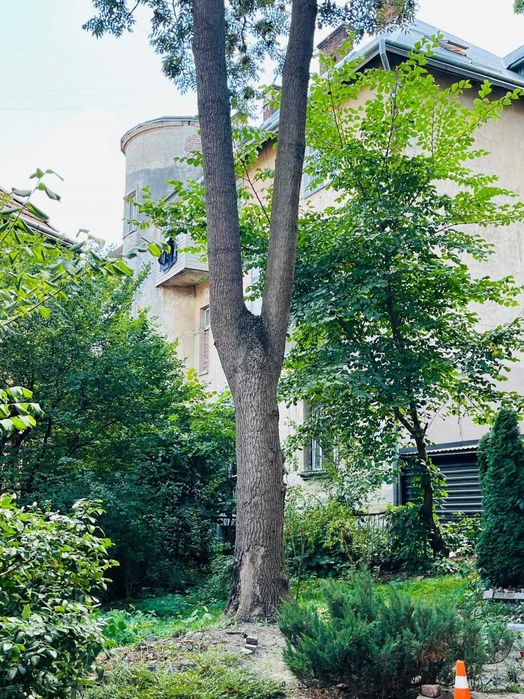4 кімнатна дворівнева квартира з ремонтом, вулиця Котляревського, місто Львів