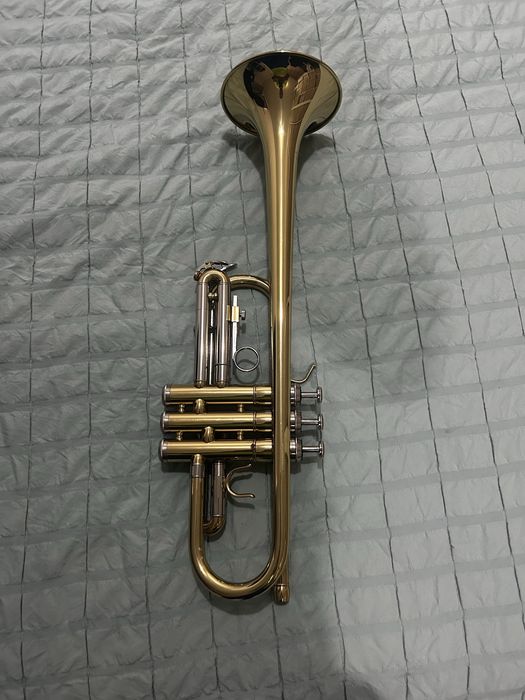 Trompete em Do muito estimado