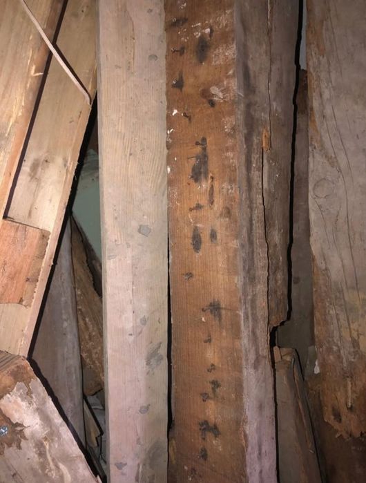 Madeira seca GRÁTIS para lenha.